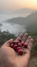 Load image into Gallery viewer, Sunrise Farmer Blend