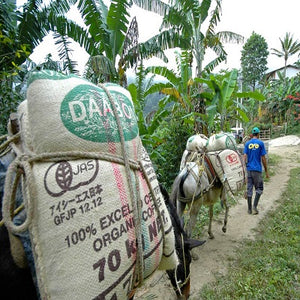 organic Colombia coffee - Organic Coffee